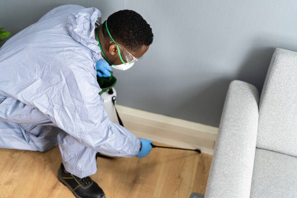 Best Pest Exclusion Services  in Mangum, OK